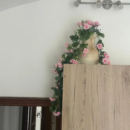 Sakura Via Napione 3*