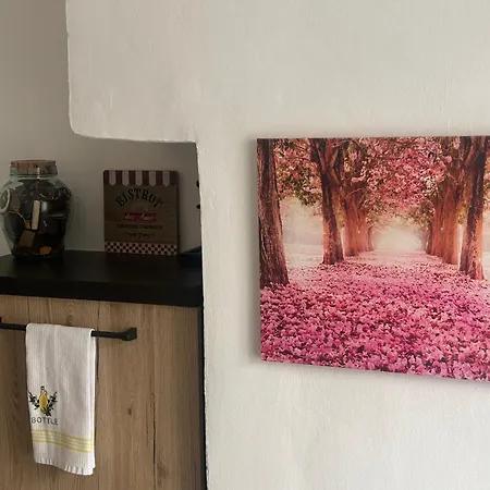 Bed & Breakfast Sakura Via Napione *